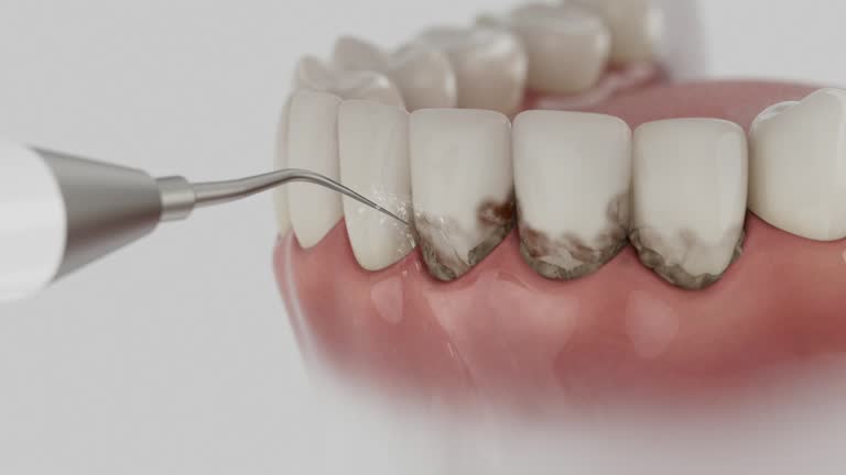 Reliable Dental contractor in Baker, MT by Dentist Open Now